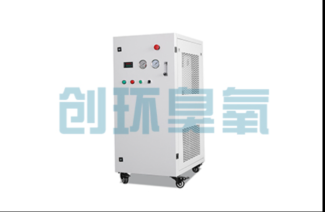 黄冈工厂化养鲈必看:2026年臭氧发生器替代传统消毒的最新方案