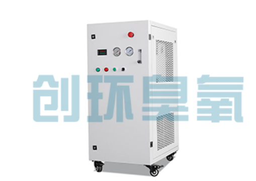 黄冈石斑鱼养殖水质调控完整指南:臭氧发生器配置与操作步骤