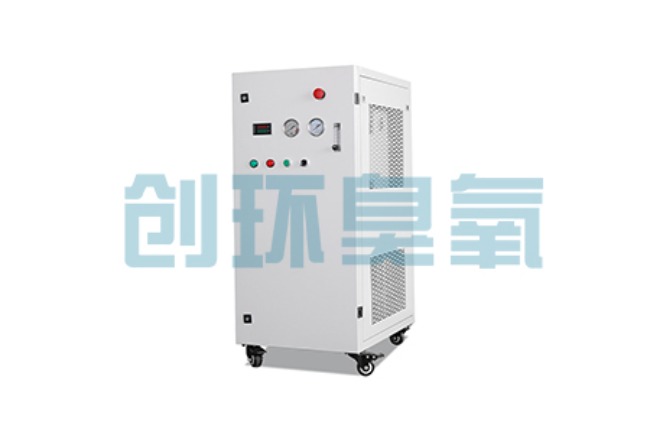 黄冈比传统换水更高效?臭氧发生器在石斑鱼养殖中的水质净化原理解析